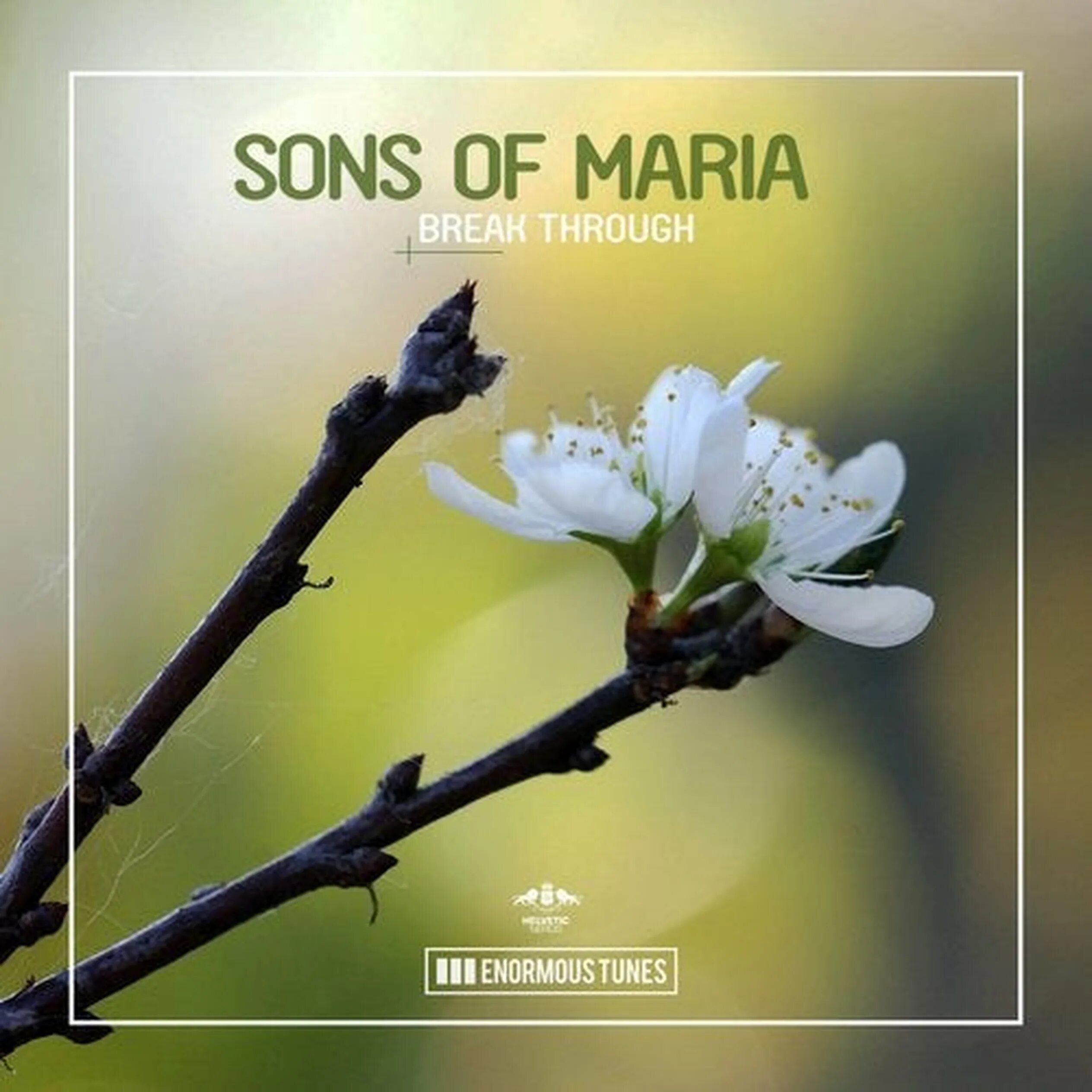 "Sons of Maria" && ( исполнитель | группа | музыка | Music | Band | artist ) && (фото | photo). Sons of Maria певица. Maria broken.