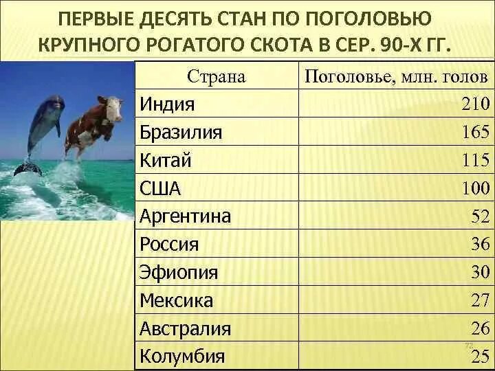 Страны Лидеры по поголовью крупного рогатого. Страны-Лидеры по поголовью крупного рогатого скота. Первые десять стран по поголовью крупного рогатого скота. Страны Лидеры по поголовью крупно рогатого скота.