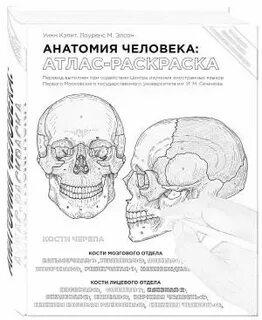 Анатомия атлас раскраска
