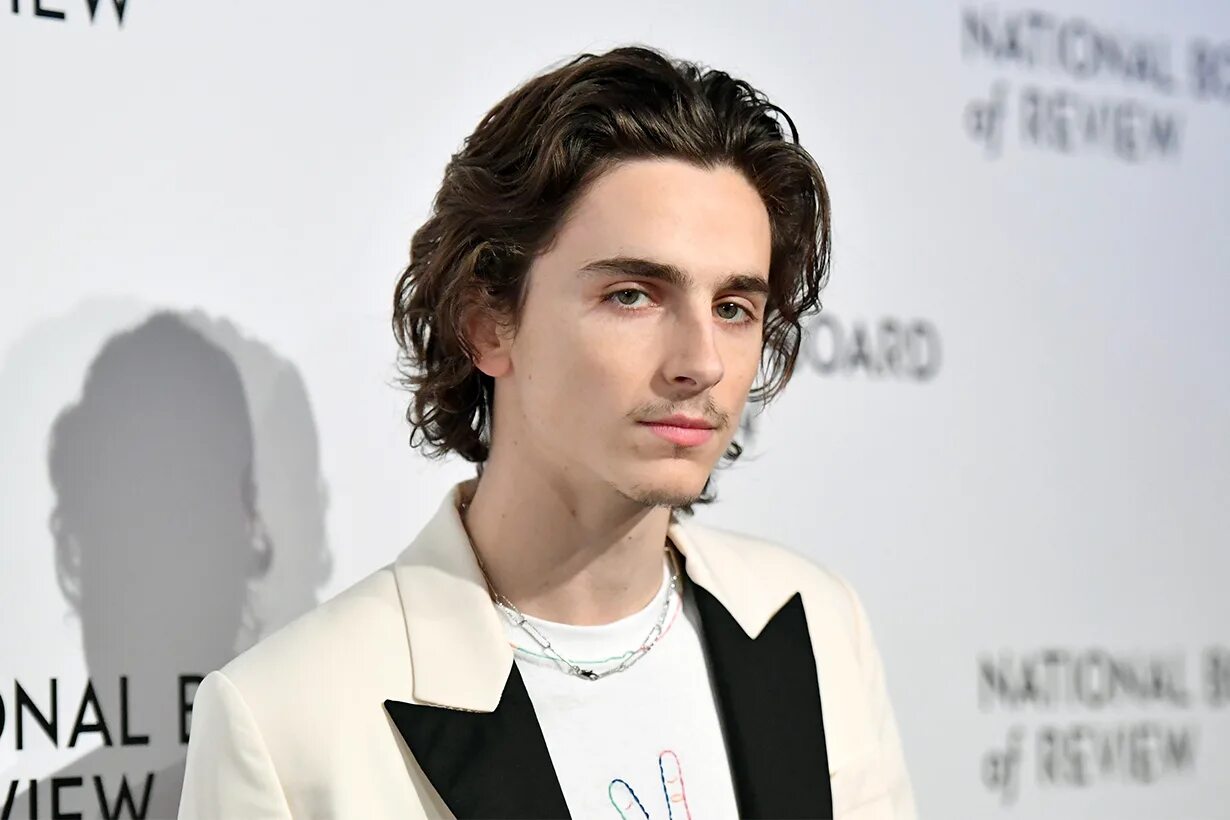 тимоти шаламе регулус блэк. тимоти шаламе национальность. тимоти шаламе национальность. тимоти шаламе. лео антадзе актер.