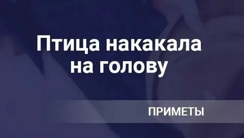 Приметы птичка накакала на руку