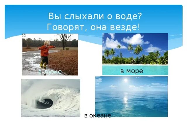 Вы слыхали о воде говорят она везде. Вода везде вода. Вы слыхали о воде. Вода говорят она везде. Говорят она везде в луже в море.