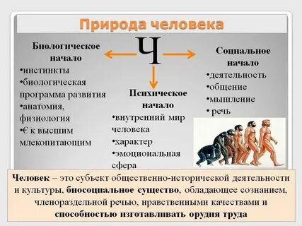 Плата это в обществознании