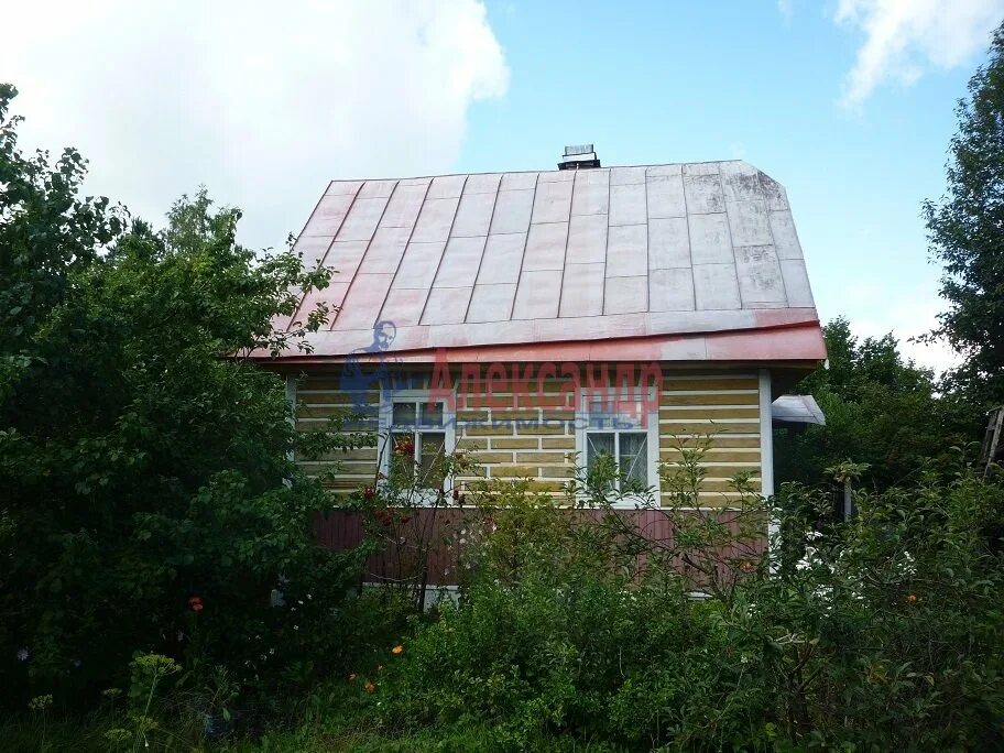 Массив восход снт ленинградская. Беспилотник в садоводческий массив восход. Ладога 13. Снт треугольник массив восход. Садоводство восход ленинградская область.