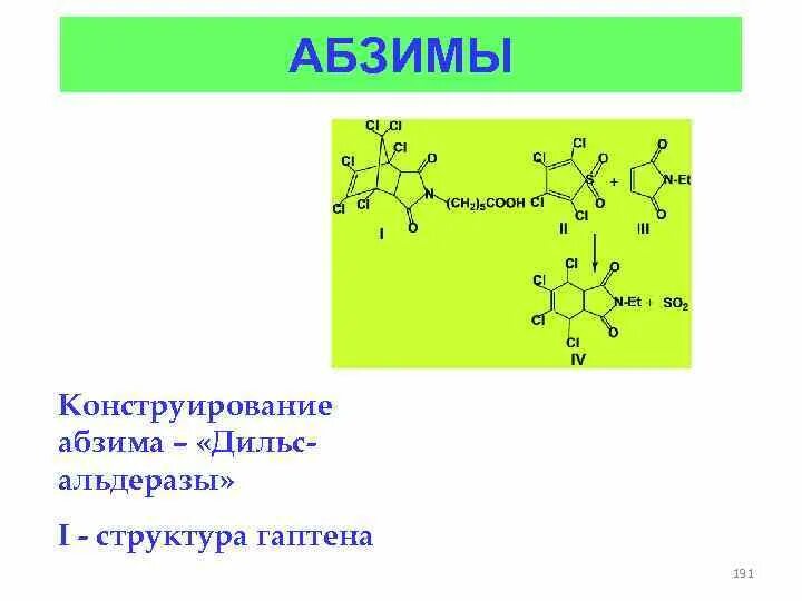 Абзимы и рибозимы свойства и особенности. Абзимы это иммунология. абзимы биохимия. абзимы строение. абзимы антитела иммунология.