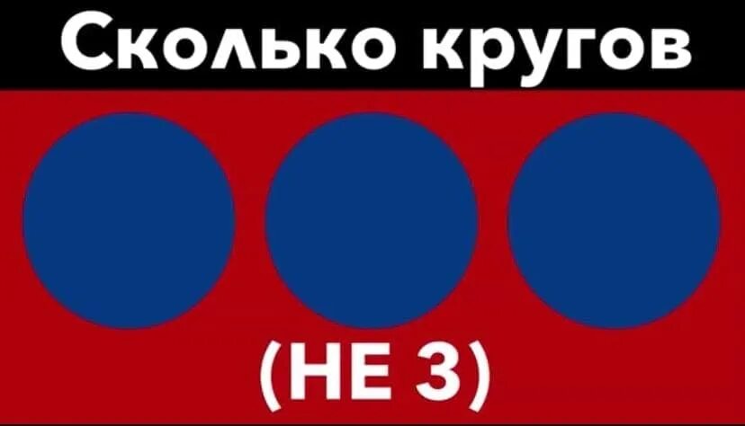 Сколько кругов на картинке. Сколько кругов ты видишь на картинке. Сколько кругов на картинке с ответами. Загадка сколько кругов на картинке.