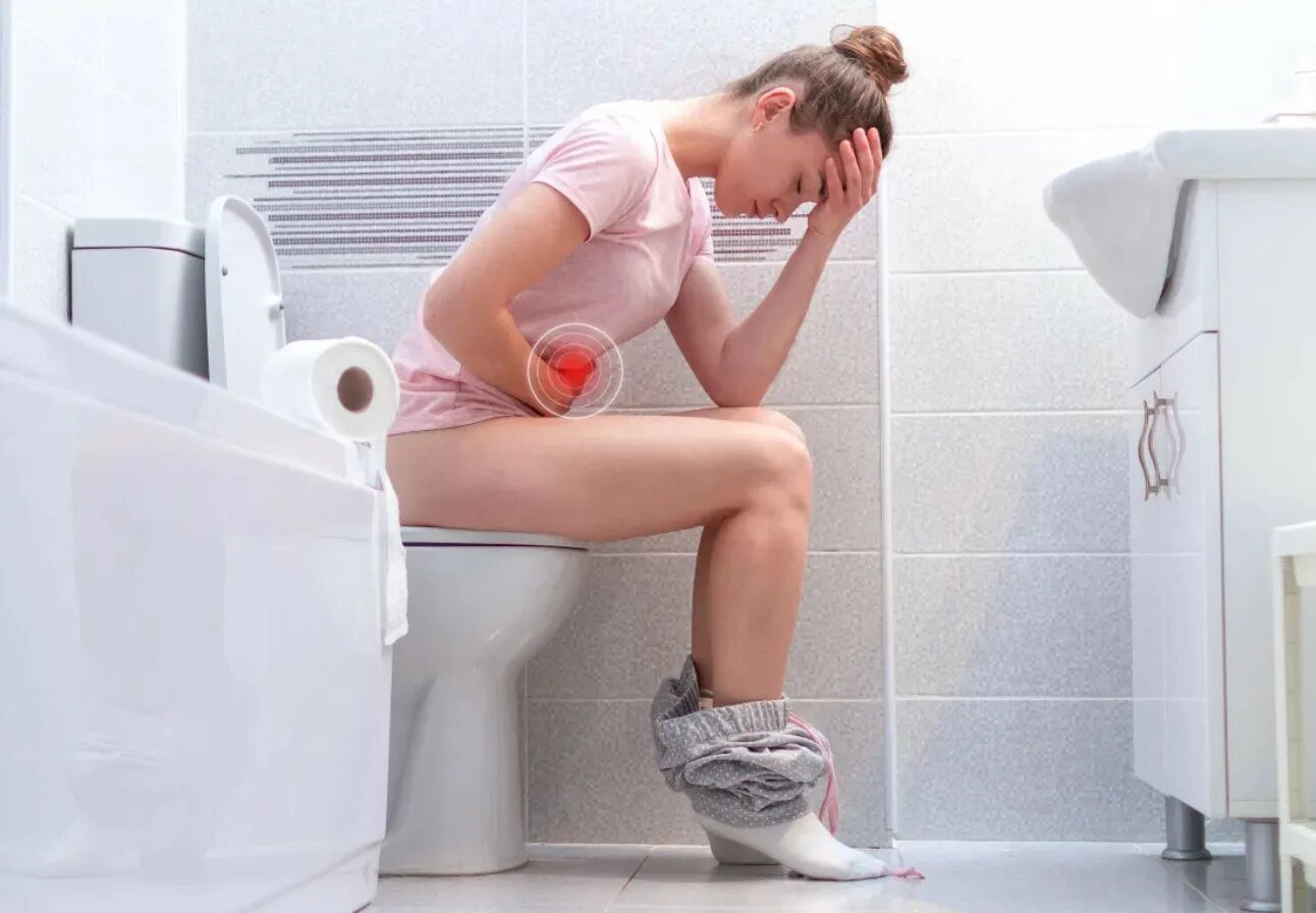 Почему когда какаешь писаешь. Кот на унитазе. Почему когда какаешь писаешь. Кот на унитазе. Почему когда какаешь писаешь.