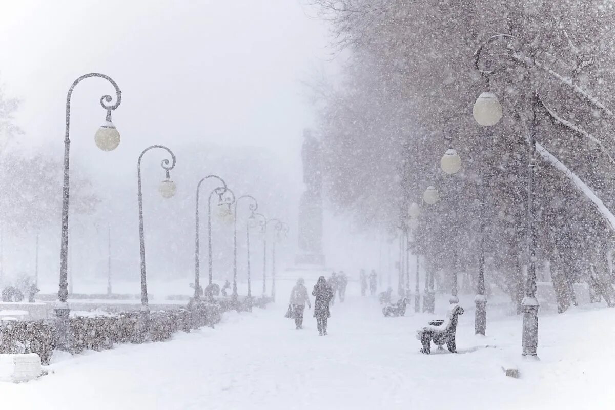 Метель 7 февраля. Метель зимой. Метель. Метель 7 февраля. Метель 7 февраля.