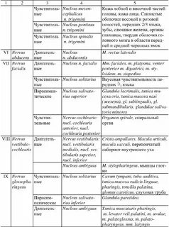 12 пара черепных нервов ядра