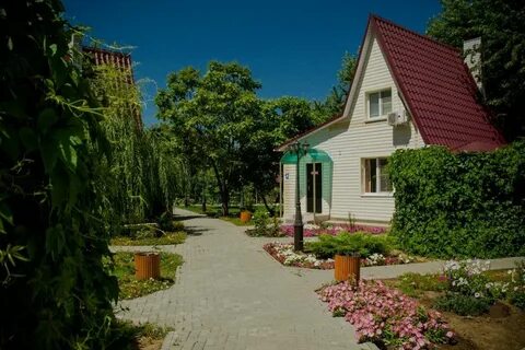 Осинки волжский