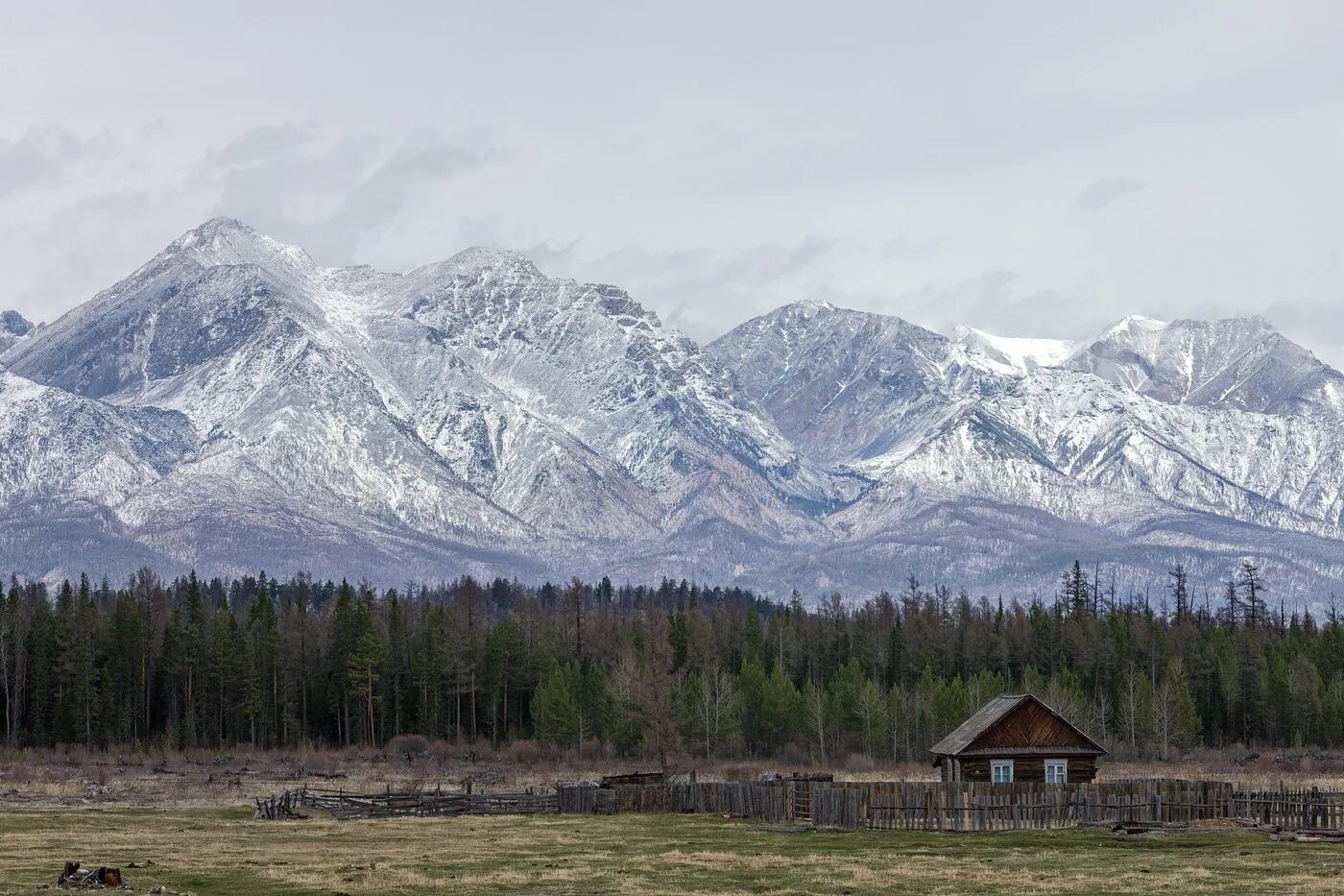 Хамар дабан тункинские гольцы. Тункинские гольцы аршан. Тункинский национальный парк шумак. Тункинская долина кырен. Великолепие тункинских.