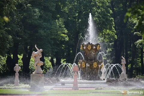 Фонтан в летнем саду петербурга