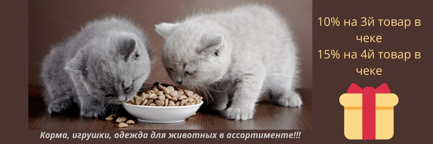 Как кормить котенка кормом. Корм для вислоухих котов. Корм для шотландских вислоухих котов. Корм для шотландских вислоухих котят. Корм для шотландских вислоухих кошек.