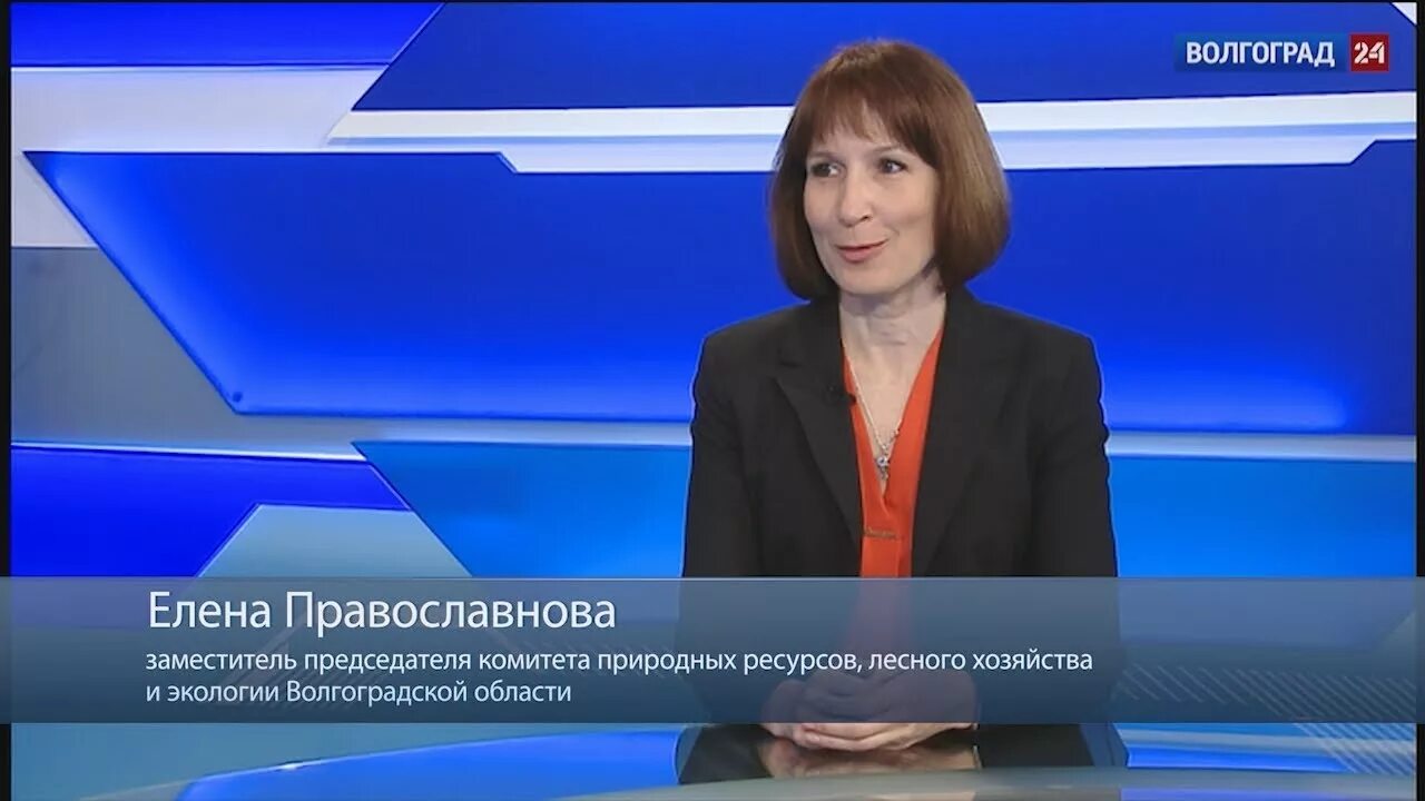 Комитет природных ресурсов, лесного хозяйства и экологии. Сайт комитета экологии