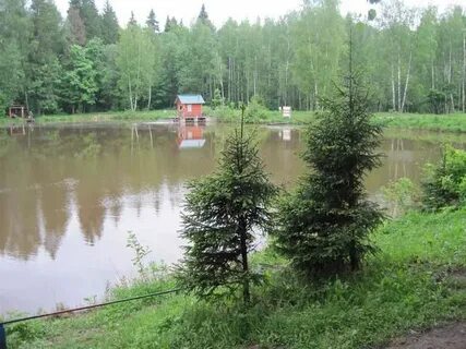 Рыбалка клевое место лосиный остров