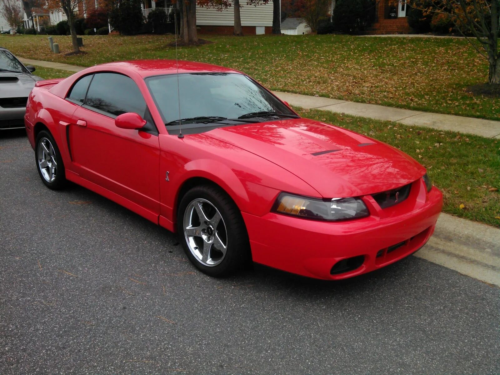 Мустанг гт 2004. Форд мустанг gt 2004. Ford mustang 2004. Ford mustang svt cobra 2003. Ford mustang 2004 года.