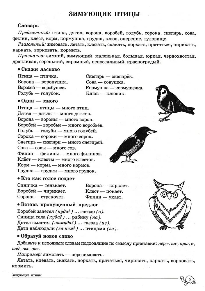 Сорока и ворона рассказ. Лексическая тема зимующие птицы. Зимующие птицы логопедические задания для дошкольников. Домашнее задание логопеда на тему зимующие птицы. Логопедическое задание на тему домашние птицы для дошкольников.