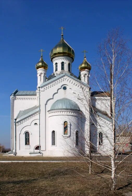 Церковь Рождества Пресвятой Богородицы (Тацинская). Ростовская область станица Тацинская храм. Церковь в станице Тацинская. Станица Ермаковская Тацинский район Церковь.