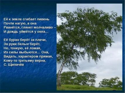 Матушка земля белая березонька исполнитель песни