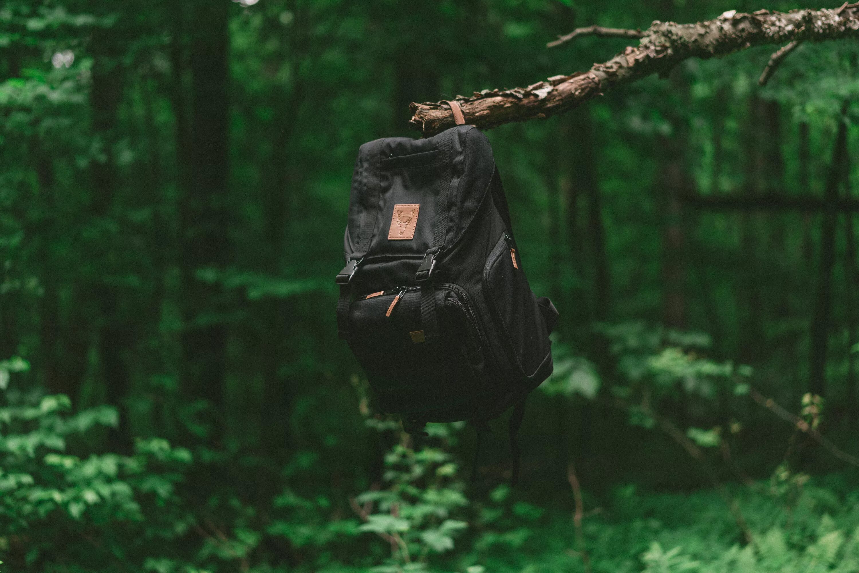 Исчезнувший портфель. Лес в рюкзаке. Путешествие в лес. Рюкзак путешественника. Путешествие по лесу.