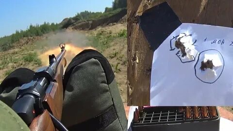 308 охота