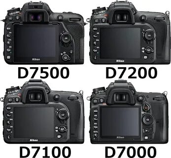 Nikon d7000 vs