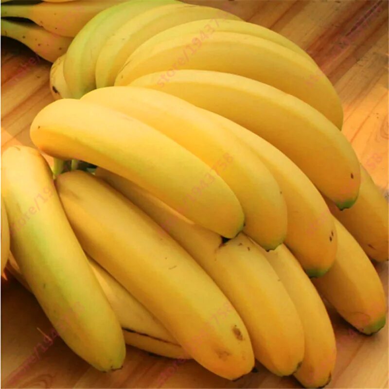Где можно купит банан. Банановые семена. Семена карликового банана. Настоящий банан. Настоящие бананы.
