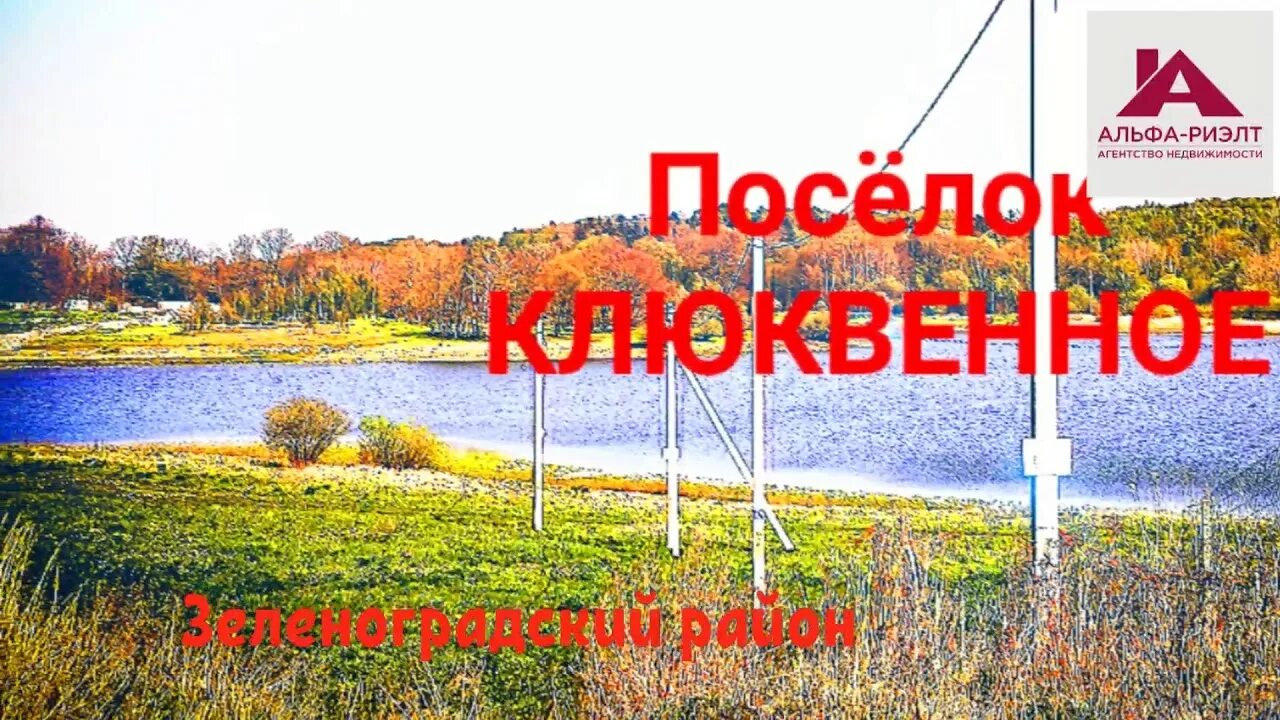 Погода клюквенный щелковский. Погода клюквенный щелковский. Поселок клюквенный новосибирск на карте. Погода клюквенный щелковский. Квартиры клюквенный.