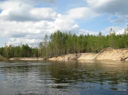 Унжа костромская
