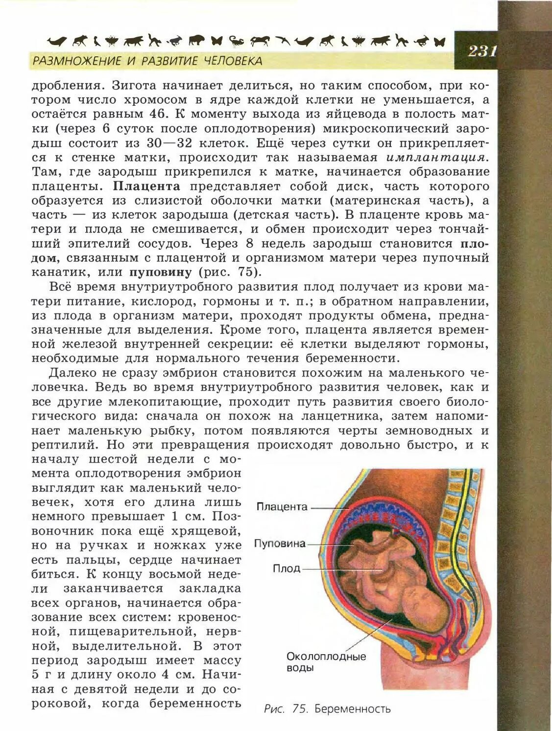 Учебник по биологии 8. Биология тема размножение человека. Учебник биология тема. Биология человека учебник. Биология 8 класс темы учебника