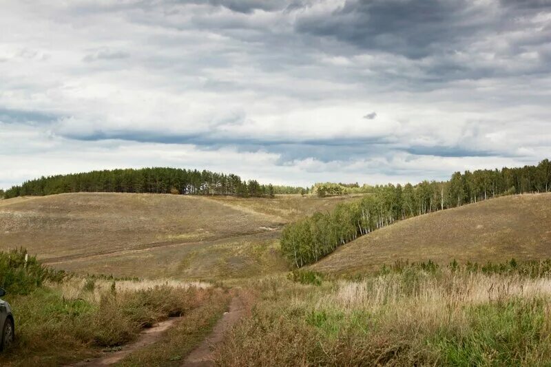 Новая гора история. Гора истории село серебряное. село серебряное курганская область. гаречья гора история создания. качественные фотографии горы истории в селе серебряном.