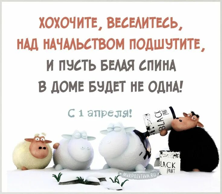 Заседание 1 апреля. Открытка к 1 апреля с шуткой. шутки на 1 апреля. шутки с первым апреля. анекдоты про 1 апреля в картинках.
