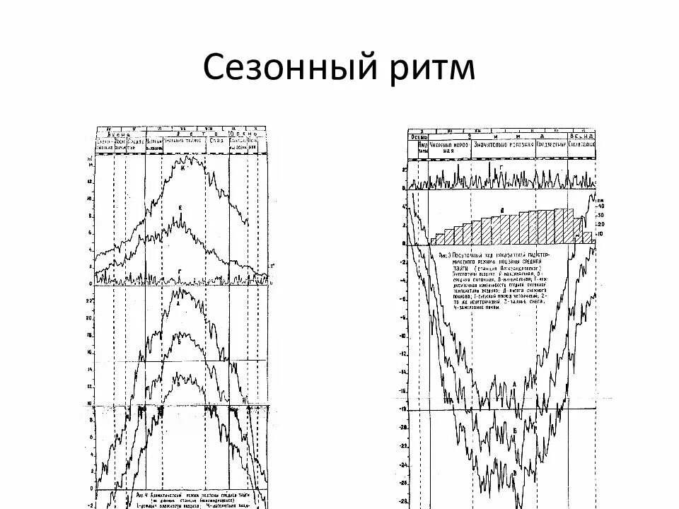 Сезонные ритмы в жизни растений. Сезонные ритмы. Внутренние сезонные ритмы. Сезонные ритмы у растений. Годовые ритмы растений.