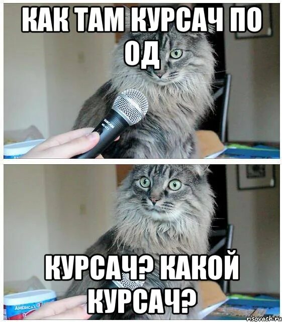 Осталось 4 дня. Скольколько дней до лейта. Осталось 6 дней картинки. До лета осталось. До лета 1 день.