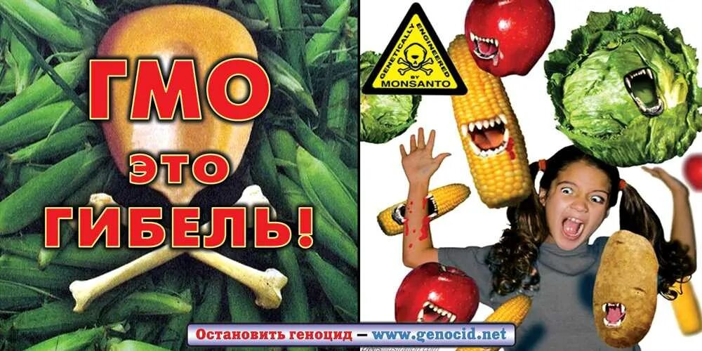 Дети гмо. Против гмо. противники гмо. плакат гмо.