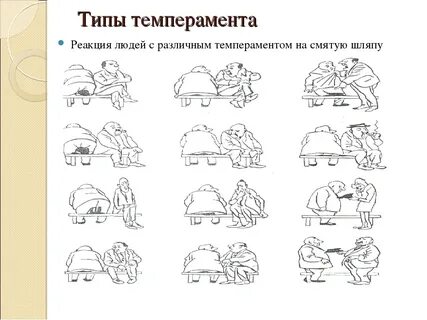 Виды типы темперамента человека