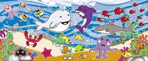 See animals