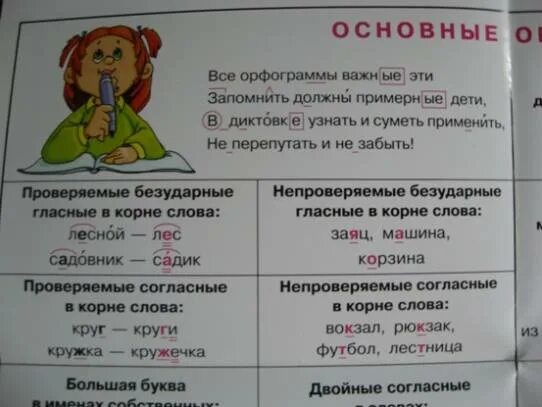 Выполняющий орфограмма в слове