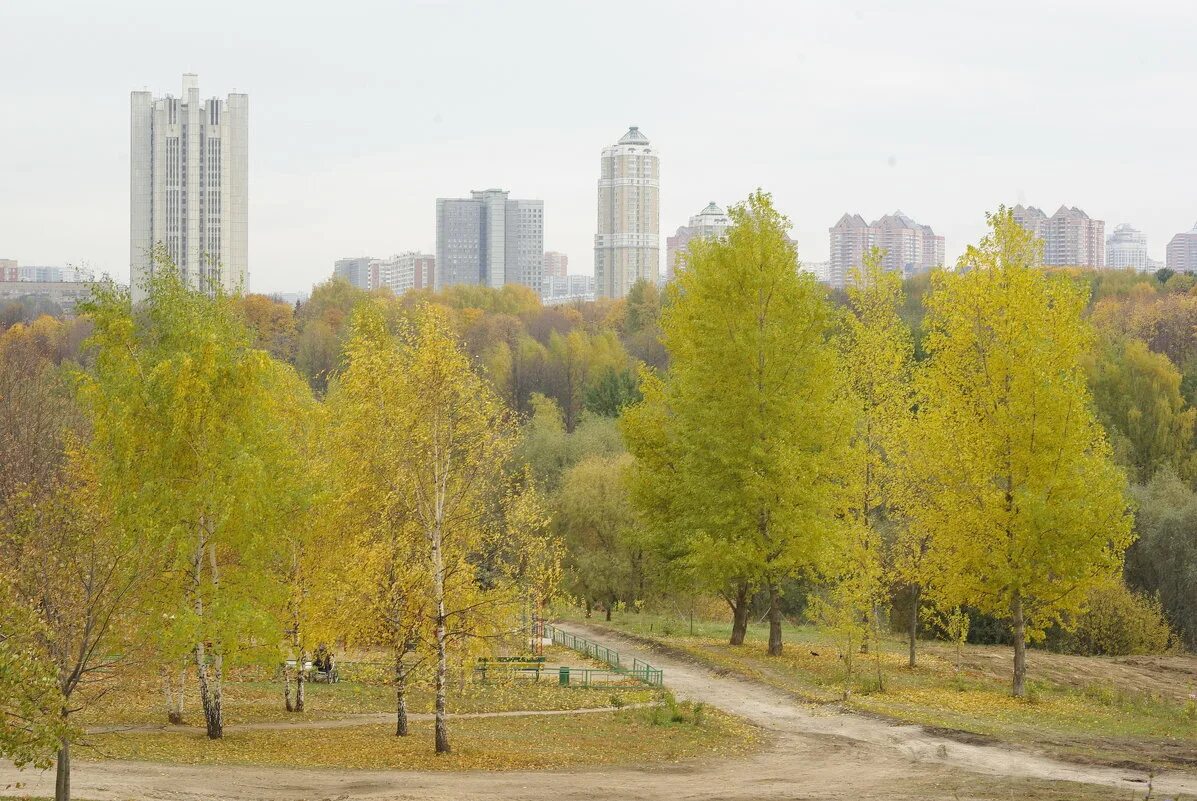 Парк запад. Юго Западный парк. Коньково район Москвы осень. Нагатинский район Москвы осень. Беляево район Москвы осень.