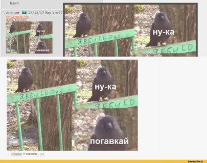 Ну ка я не вижу