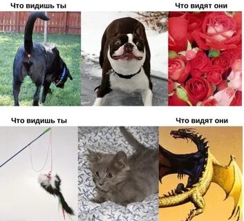 Видишь разные варианты
