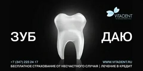 Зуб даю телефон
