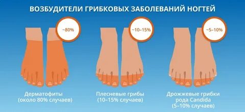 Тест грибки