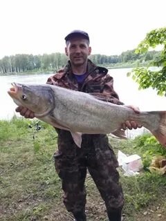 Володя выловил ложкой дымящуюся паром картофелину
