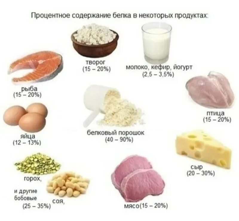 Обмен веществ, Витамины