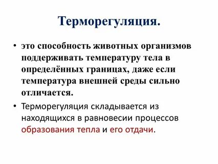 Терморегуляция организма человека это