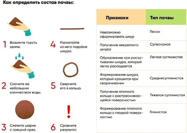 Как понять какая почва