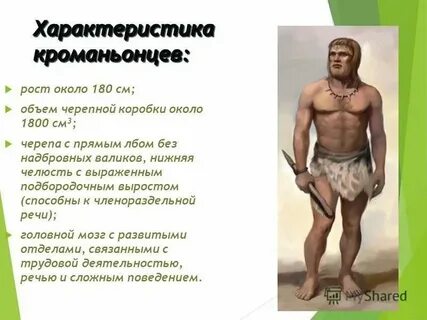 Современный человек особенности строения и образ жизни