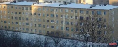 41 мурманск