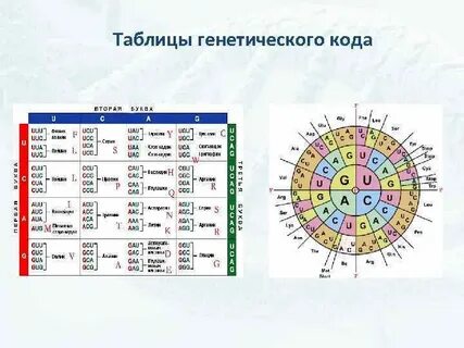 Биология таблица кода